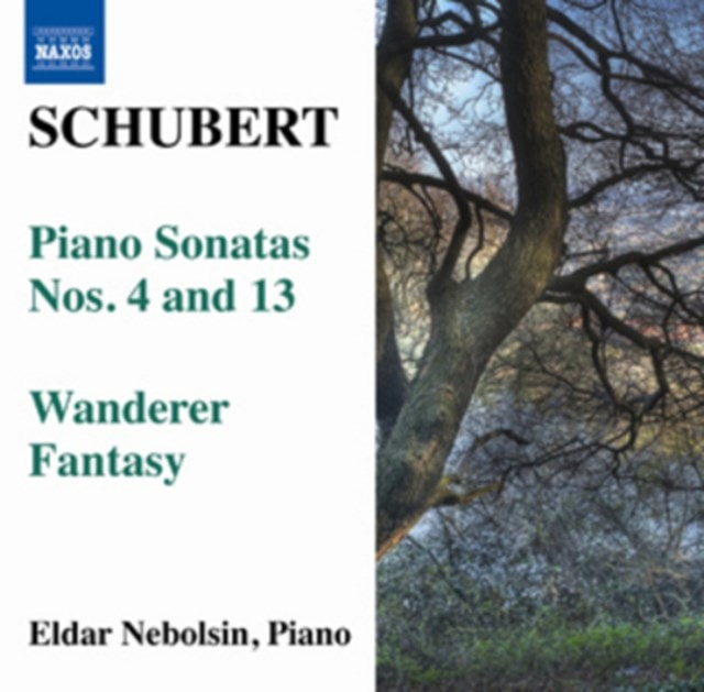 Schubert: Piano Sonatas Nos. 4 and 13 - 1