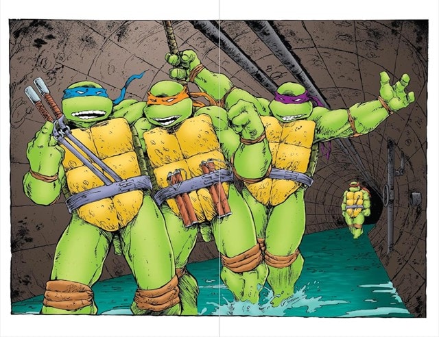 Teenage Mutant Ninja Turtles Special Edition 35th Anniversary DC Comics Graphic Novel - 5