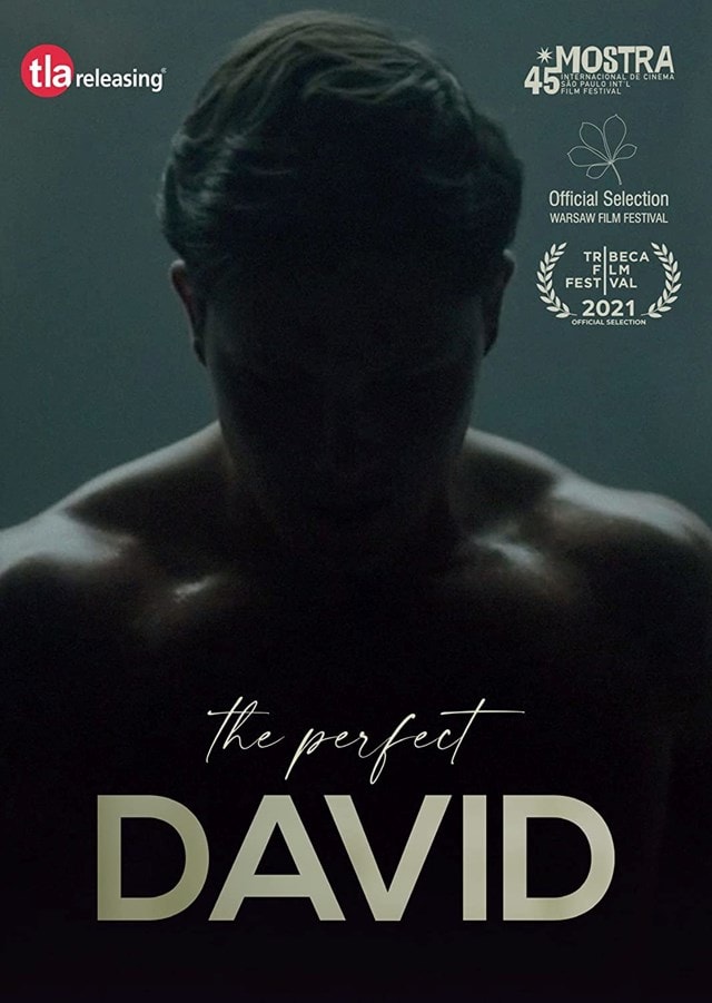 The Perfect David - 1