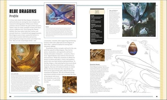 Dungeons & Dragons The Book Of Dragons D&D Hardback - 5