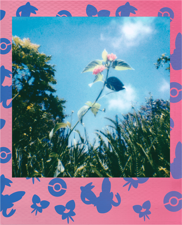 Polaroid Go Colour Pokemon Sylveon Edition Film Double Pack - 13