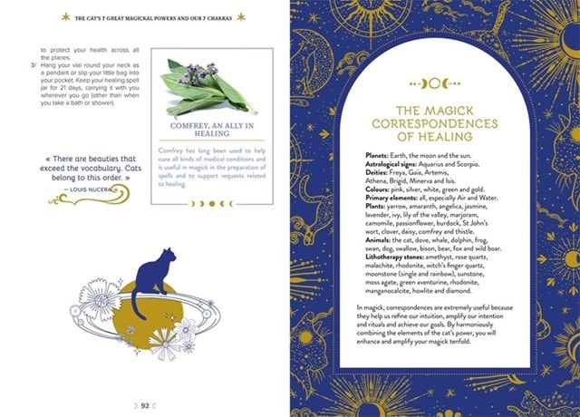 Magick Of Cats - 4