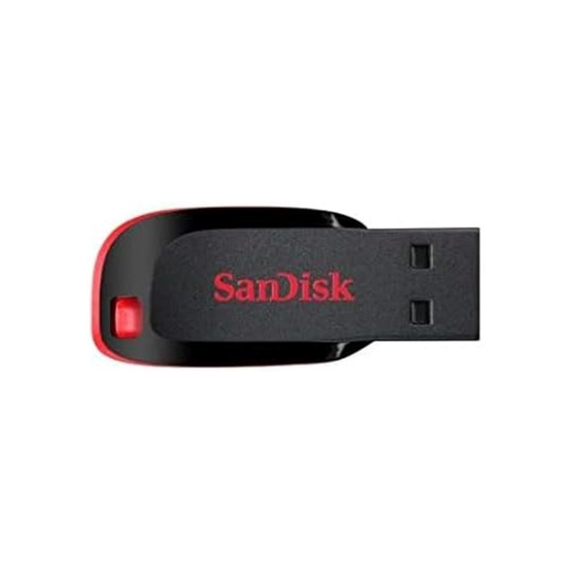 Sandisk Cruzer Blade 16GB USB Flash Drive - 2
