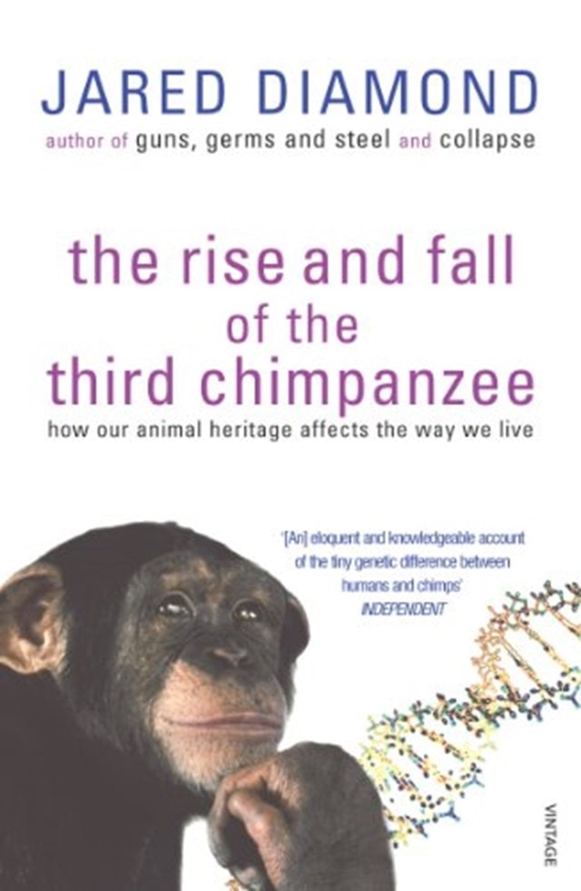 The Rise & Fall Of The Third Chimp - 1