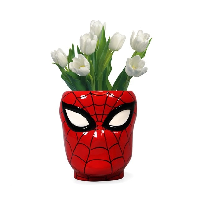 Spider-Man: Marvel Shaped Wall Vase - 2