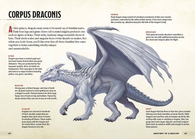Dragons & Treasures Dungeons & Dragons Young Adventurer's Guide - 4