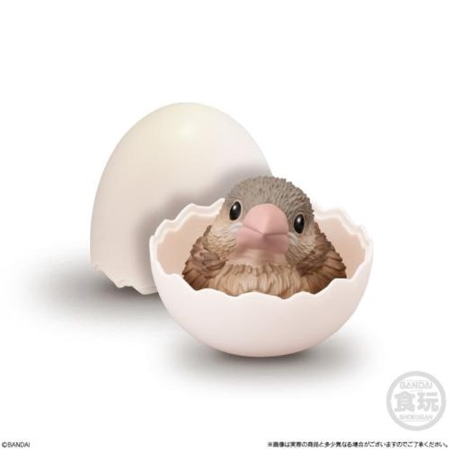 Baby Birds Tenori Friends Shokugan Blind Box - 4