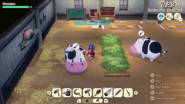 Story of Seasons: Grand Bazaar (NS2) - 9