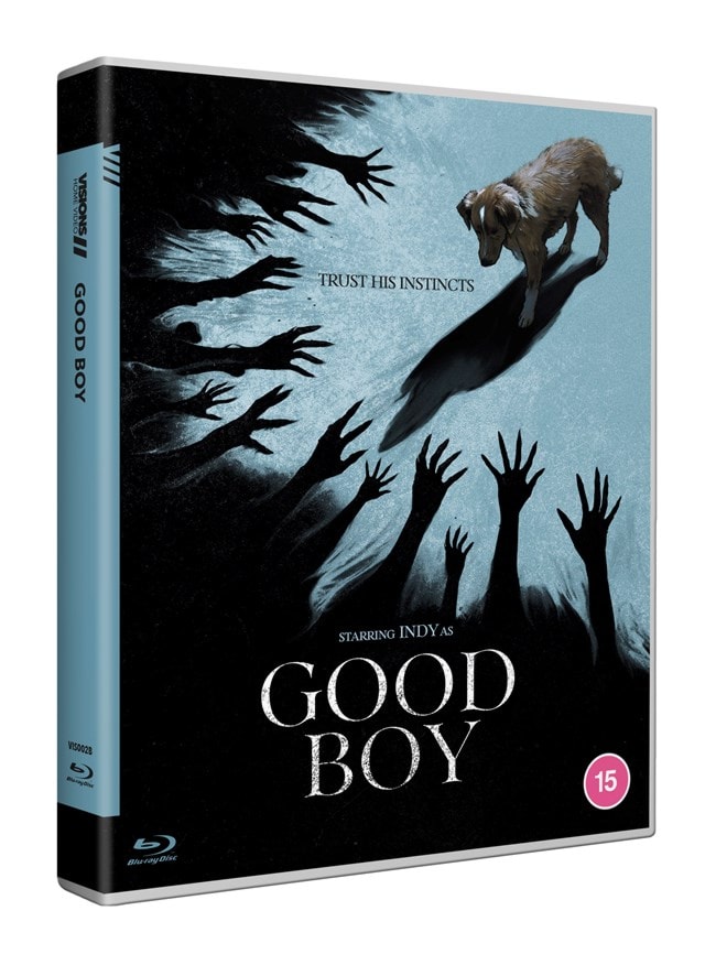 Good Boy - 2