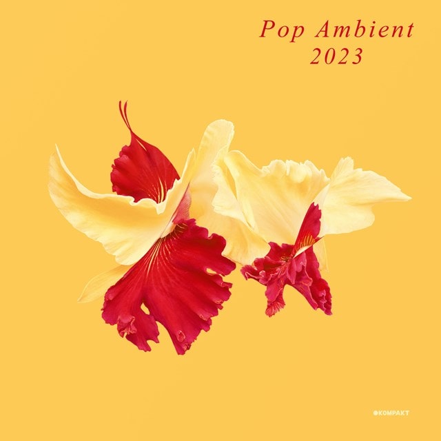 Pop Ambient 2023 - 1