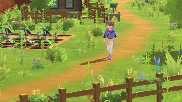 Harvest Moon: Home Sweet Home Special Edition (PS5) - 2