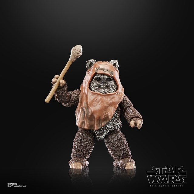 Wicket Hasbro Star Wars The Black Series Return of the Jedi 40th Anniversary Action Figure - 6