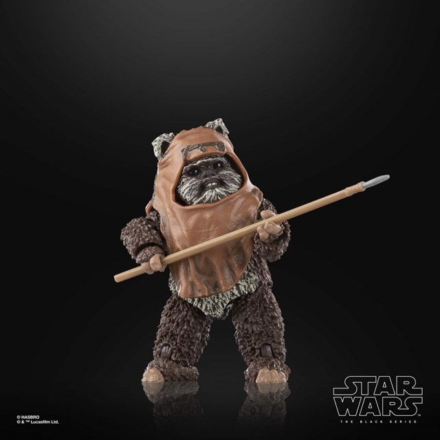 Wicket W. Warrick Star Wars The Black Series Return of the Jedi Action  Figure