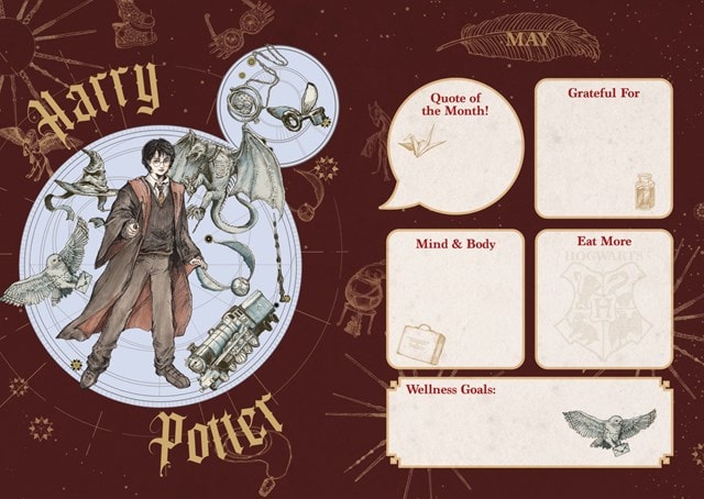 Harry Potter 2025 Calendar & Diary Gift Box - 9