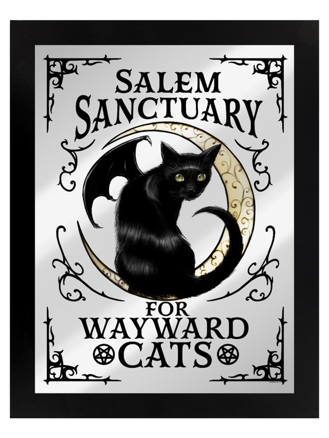 Salem Sanctuary For Wayward Cats Mirrored Tin Sign - 2