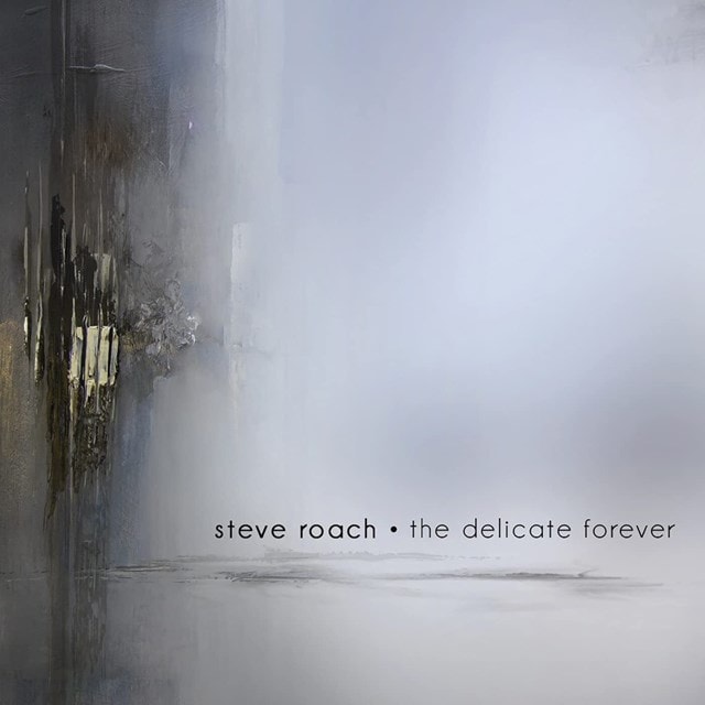 The Delicate Forever - 1