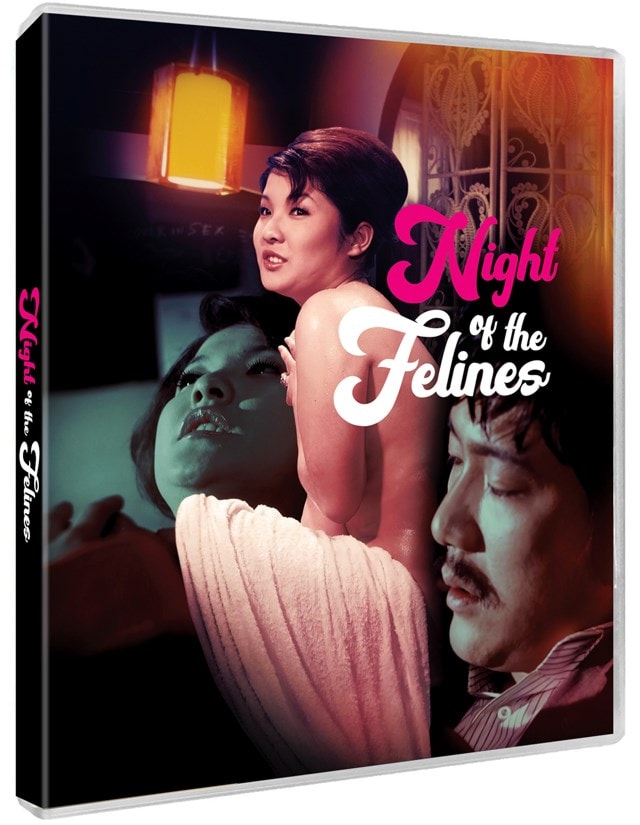 Night of the Felines - 2