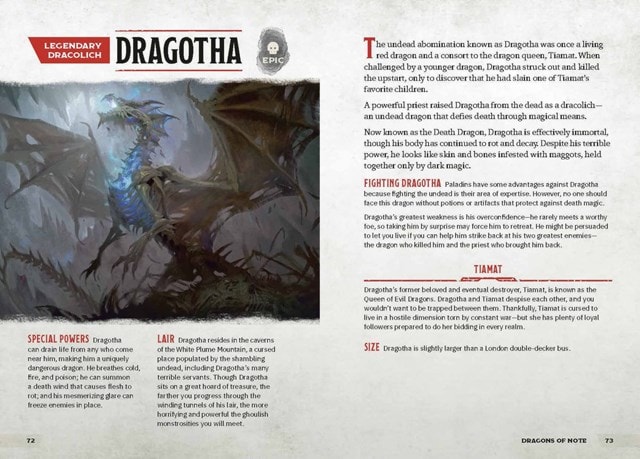Dragons & Treasures Dungeons & Dragons Young Adventurer's Guide - 6