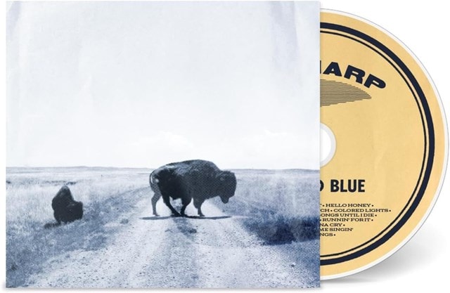 Runs to Blue - 2