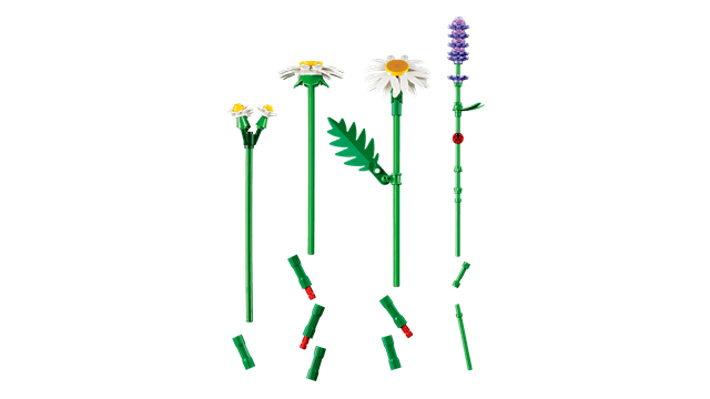 Daisies LEGO Botanicals - 5