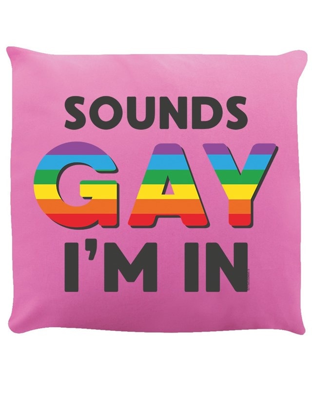 Sounds Gay I'm In Pink Cushion - 1