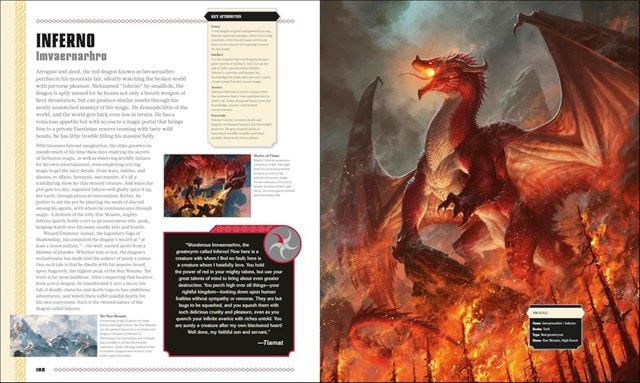 Dungeons & Dragons The Book Of Dragons D&D Hardback - 11