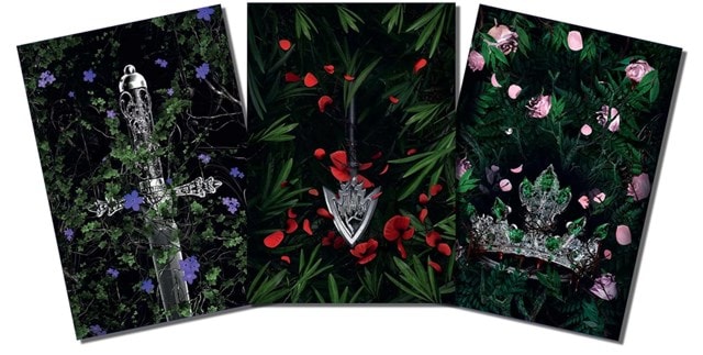 Powerless Trilogy Notebook Box Set - 2