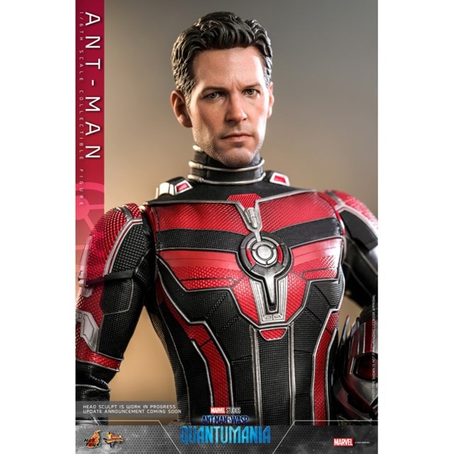 1:6 Ant-Man - Ant-Man And The Wasp: Quantumania Hot Toys Figurine - 2