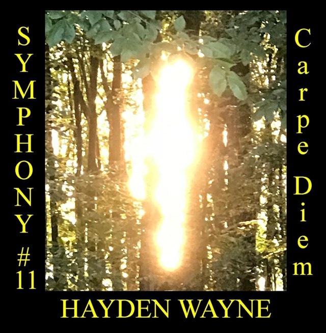 Hayden Wayne: Symphony #11: Carpe Diem - 1