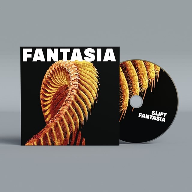 Fantasia - 2