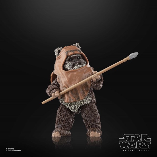 Wicket W. Warrick Star Wars The Black Series Return of the Jedi Action Figure - 4