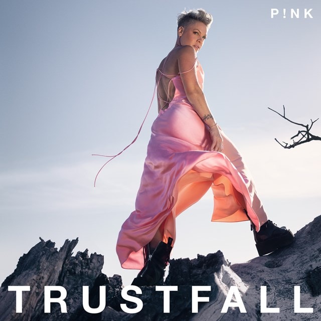 Trustfall - 1