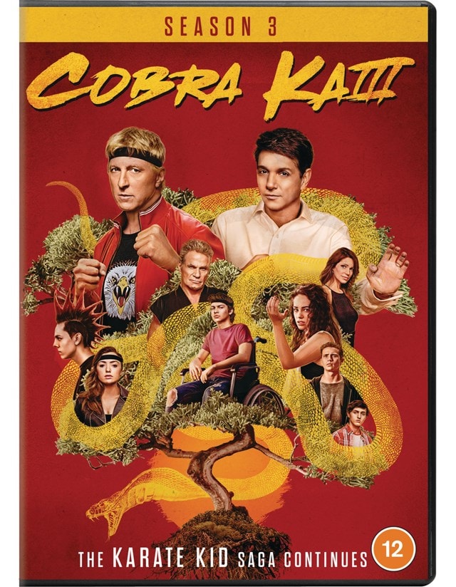 Cobra Kai: Season 3 - 1