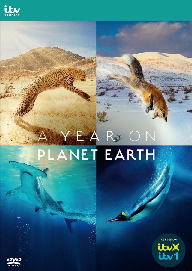 A Year On Planet Earth - 1