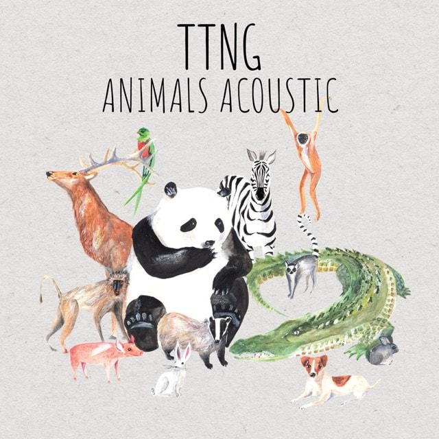 Animals Acoustic - 1