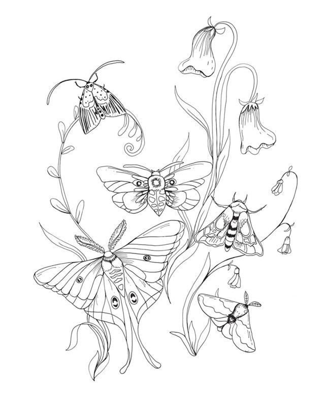 Woodland Wonderland Colouring Book - 2