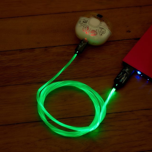 Lazerbuilt Harry Potter Light-Up USB-C Cable - 6