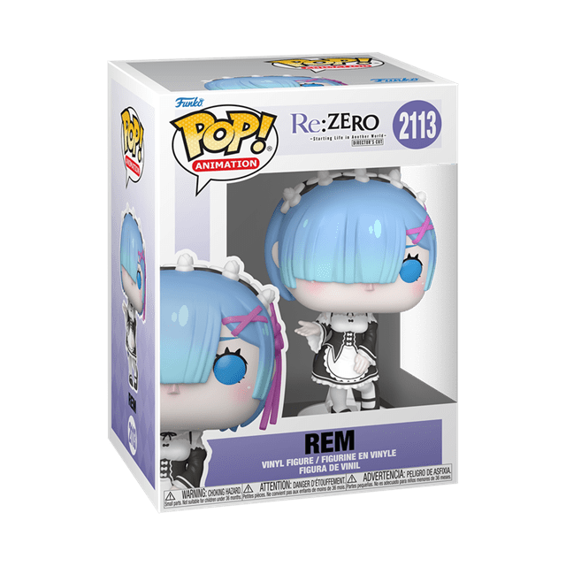 Rem With Chance Of Chase 2113 Re:Zero - Starting Life In Another World Funko Pop Vinyl - 2