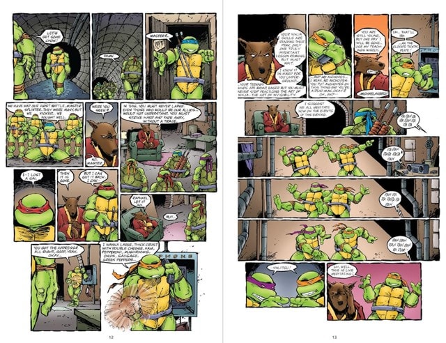 Teenage Mutant Ninja Turtles Special Edition 35th Anniversary DC Comics Graphic Novel - 6