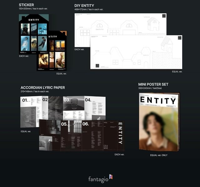 ENTITY (Each Ver.) - 1