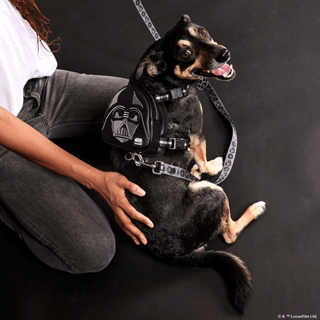 thumbnail image 2 of Snapklik.co : OneTigris Dog Lift Harness For Large Dogs, Dog Hip 2 of 14