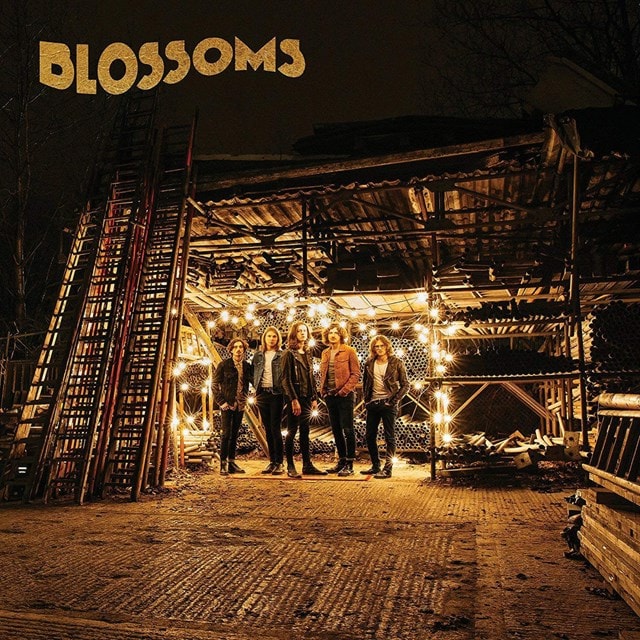 Blossoms - 1