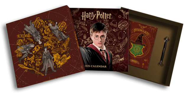 Harry Potter 2025 Calendar & Diary Gift Box - 3