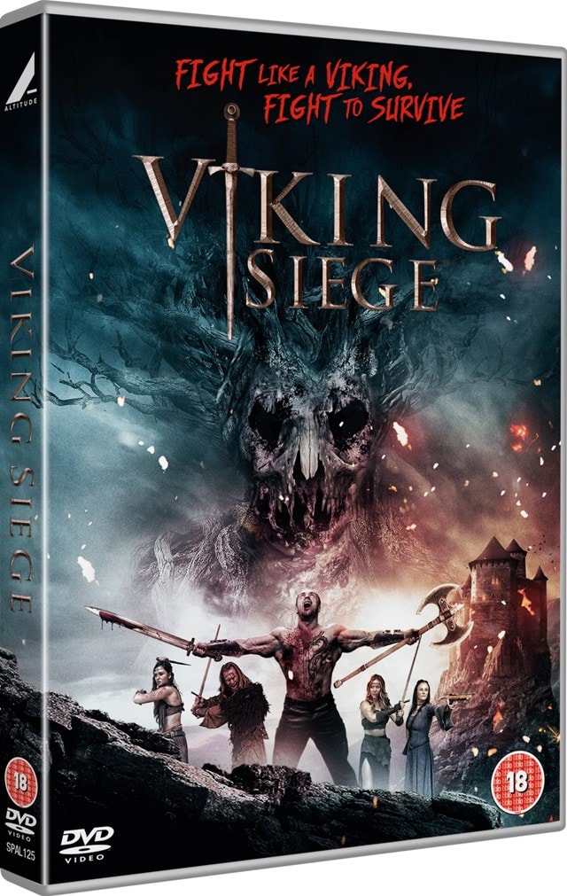 Viking Siege - 2