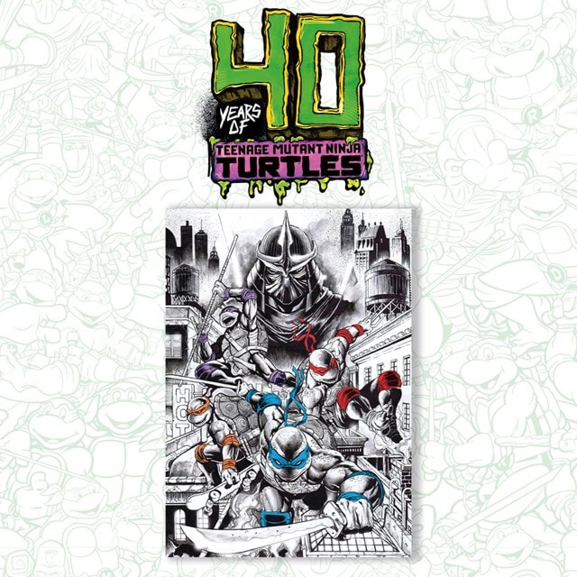 Limited Edition 40th Anniversary Teenage Mutant Ninja Turtles Art Print - 4