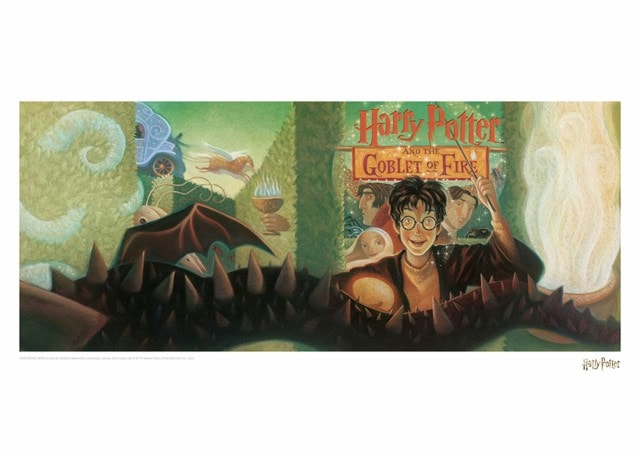 Harry Potter: Goblet Of Fire Book Cover Art Print - 1