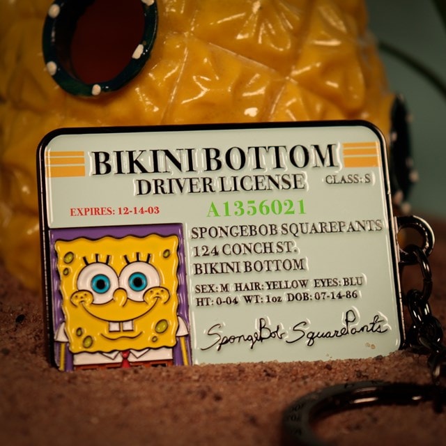 Driver License SpongeBob SquarePants Keyring - 3