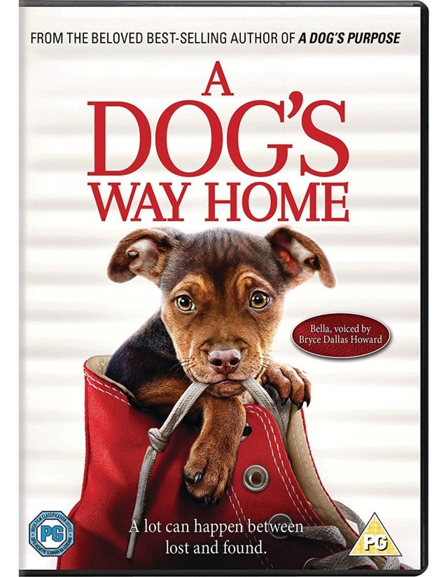 A Dog's Way Home - 1