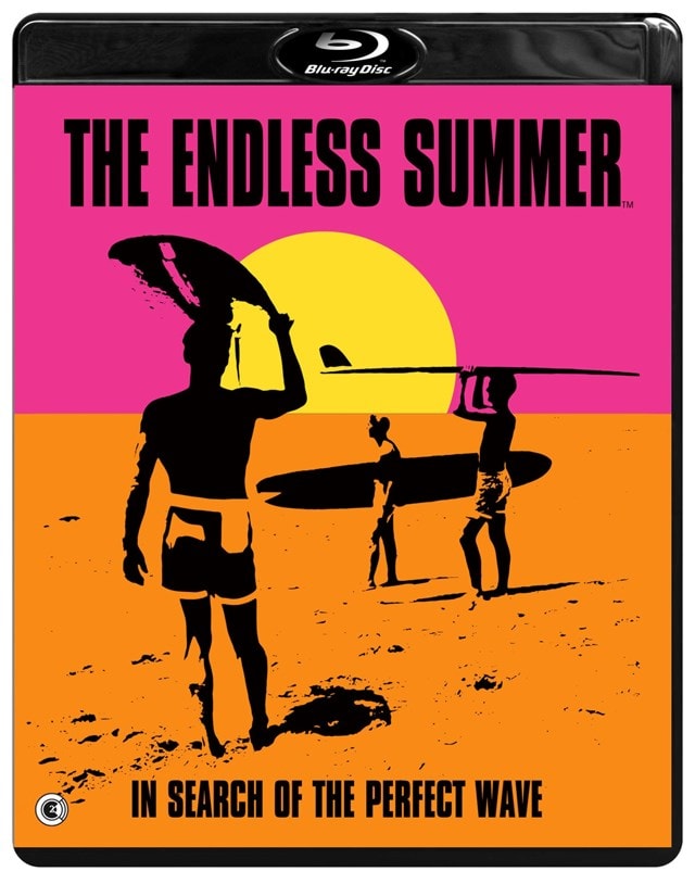Endless Summer Poster 24 x 36