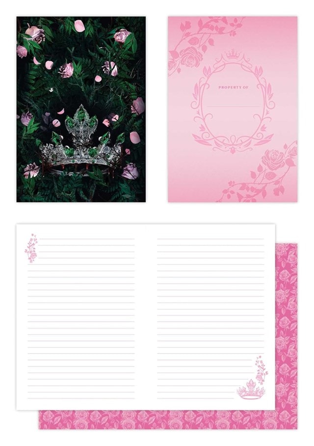 Powerless Trilogy Notebook Box Set - 5